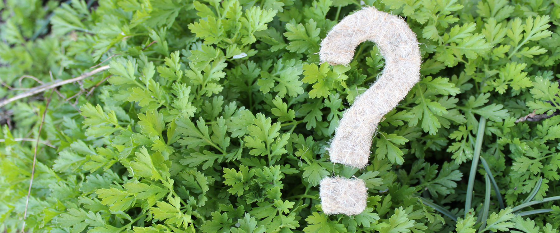 Fritz+Clarissa und das Musterhaus in Hinterstoder