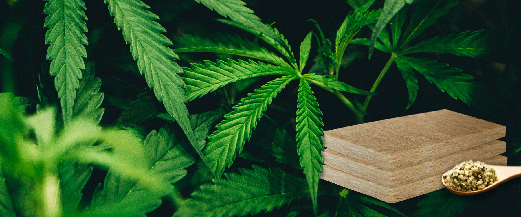 Fritz+Clarissa und das Musterhaus in Hinterstoder