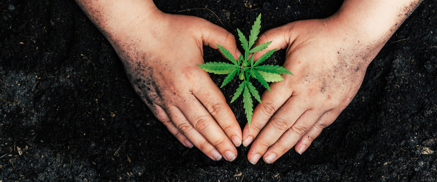 Zentrale Geboltskirchen