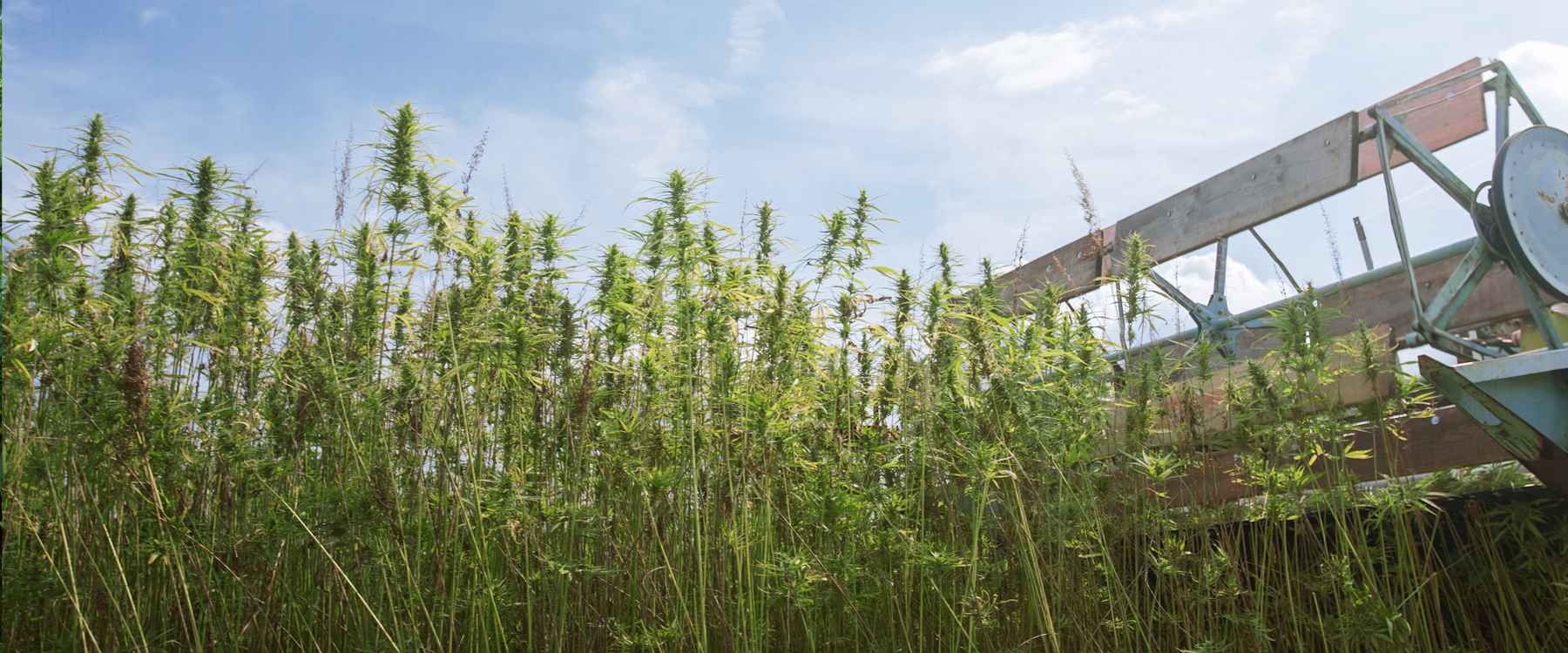 Zentrale Geboltskirchen