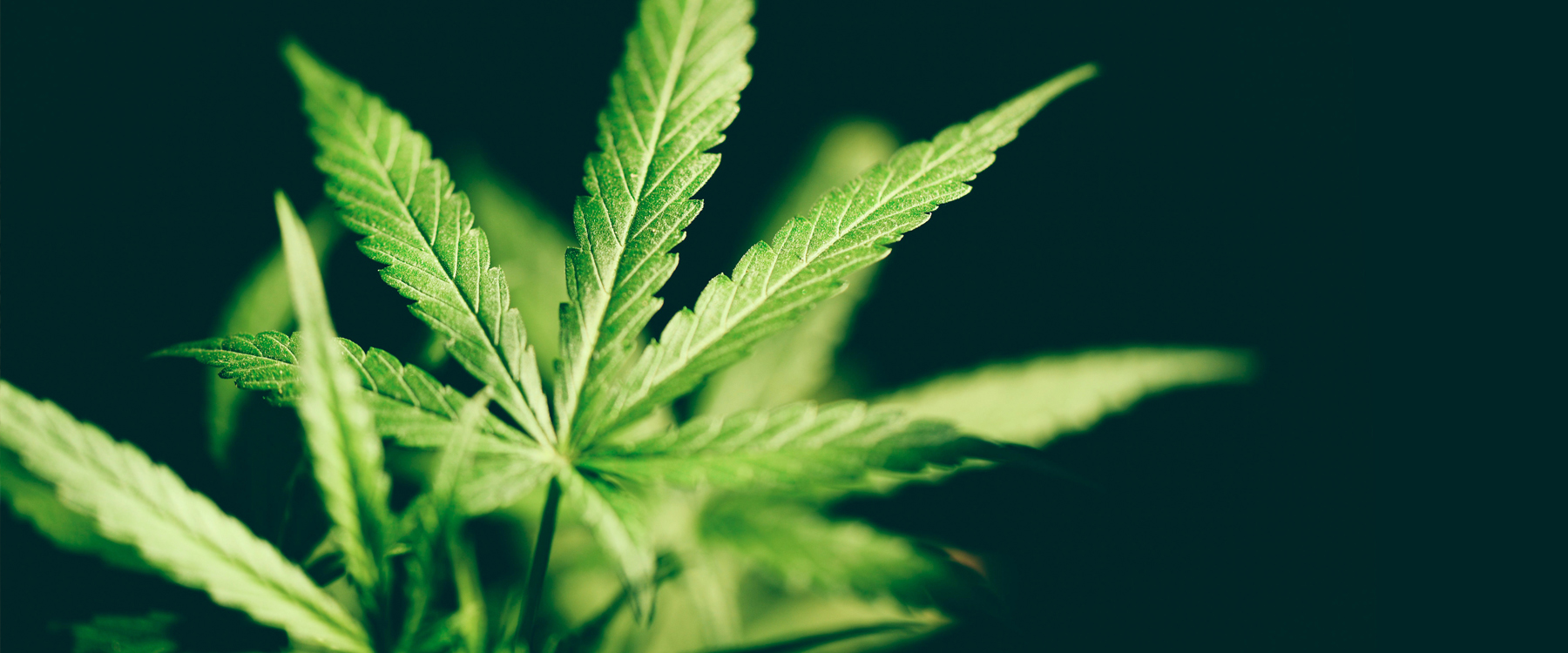 Zentrale Geboltskirchen